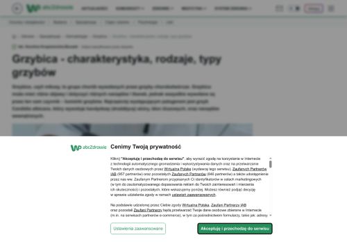 abcgrzybica.pl