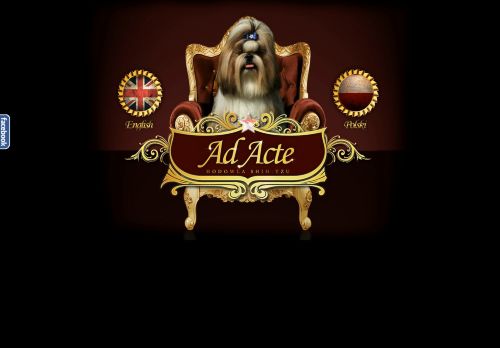 adacte.pl