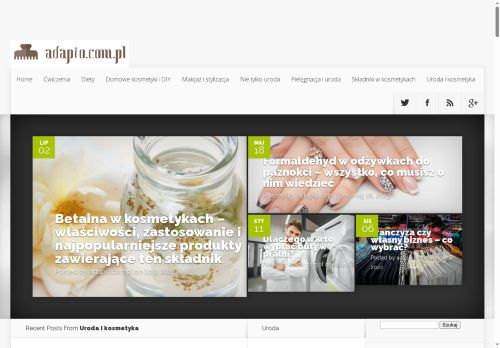 adapio.com.pl