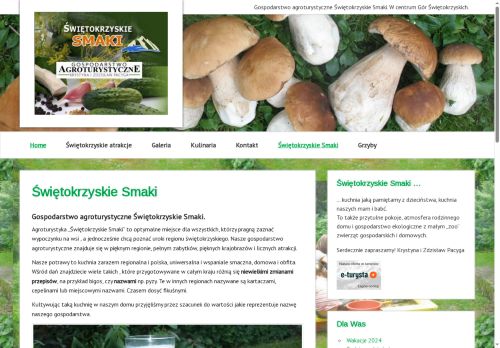 agrowczasy.info