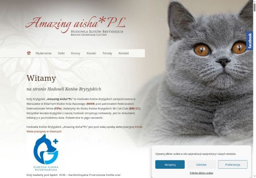 aisha.pl