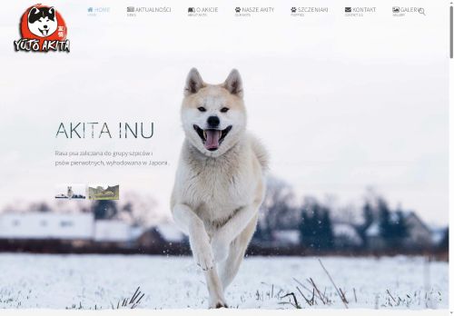 akitajaponska.pl