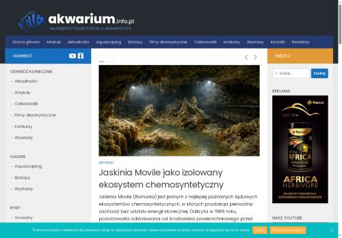 akwarium.info.pl