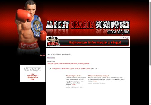 albertsosnowski.pl