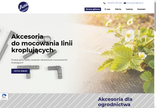 almabydgoszcz.com