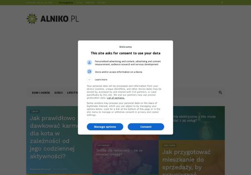 alniko.pl