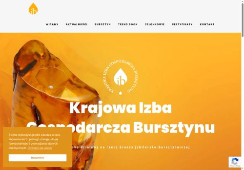 amberchamber.org.pl