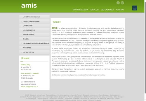 amis.com.pl