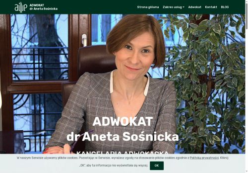 anetasosnicka.pl
