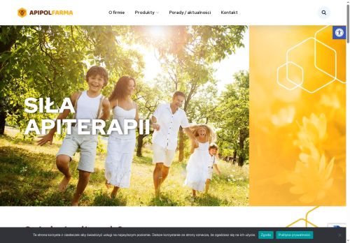 apipol.com.pl
