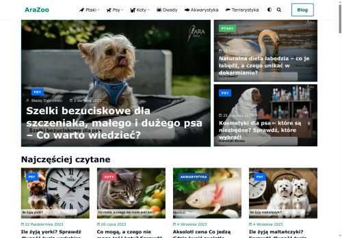 arazoo.pl