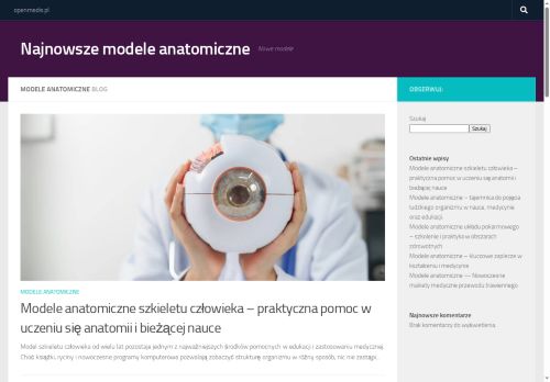 art-webinfo.pl