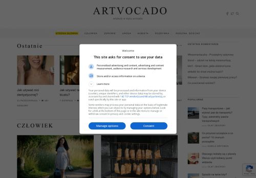 artvocado.pl