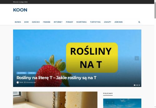bajweb.koon.pl
