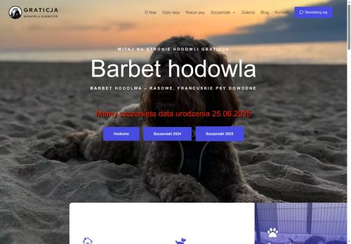 barbet-hodowla.pl