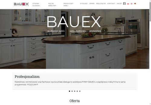 bauex.pl