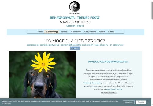 behawiorysta-sobotnicki.pl