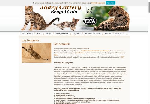 bengal.ekoty.pl