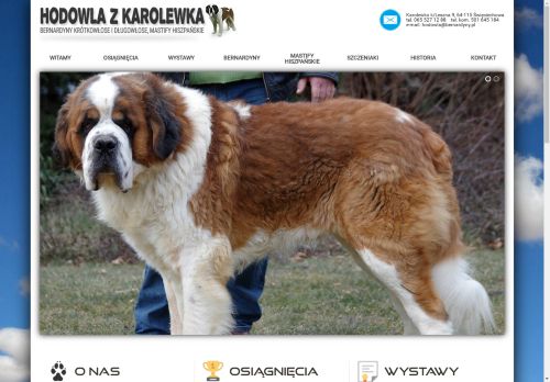 bernardyny.pl