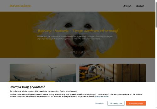 bichon-hodowla.pl