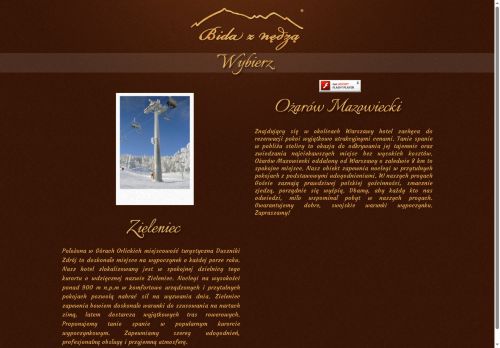 bidaznedza.pl