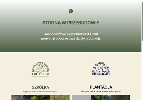 bielicki.com.pl