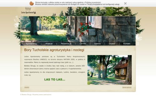 bielskastruga.pl