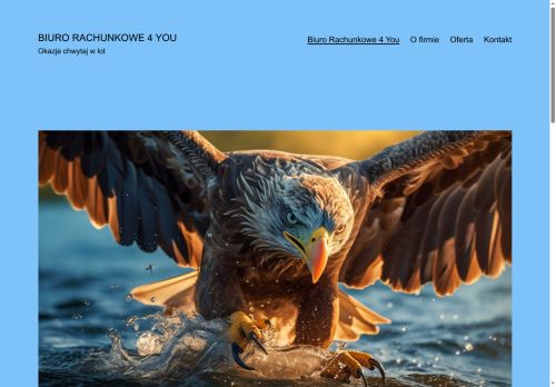 biurorachunkowe4you.waw.pl
