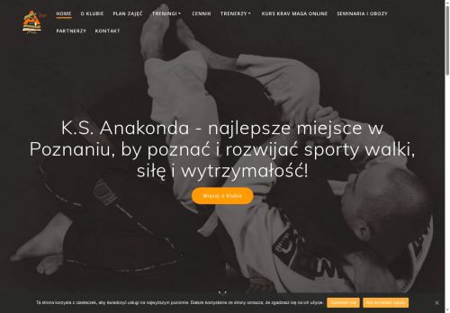 bjj-poznan.pl