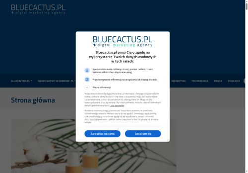 bluecactus.pl
