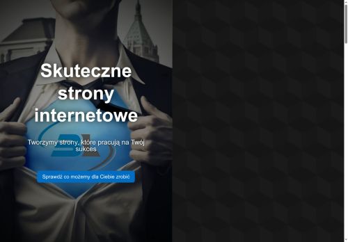 bluelink.pl