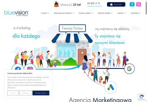 bluevision.pl