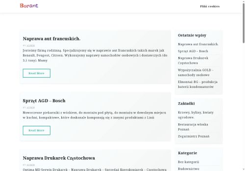 borant.pl