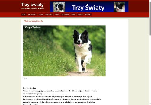 border.com.pl