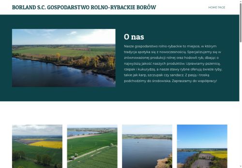 borow.com.pl