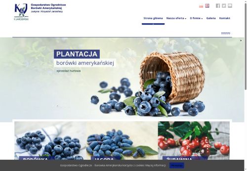 borowka.info.pl