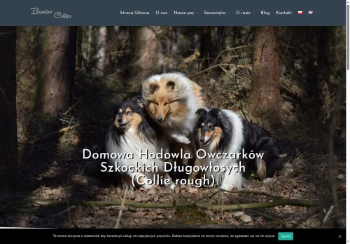 branlico.pl