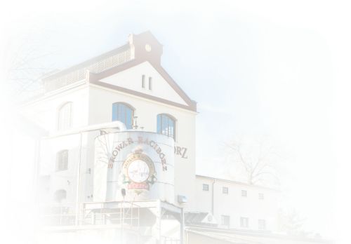 browarraciborz.pl