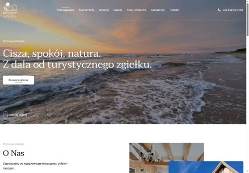 brzozowy.pl