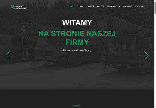 bsdzwigi.pl