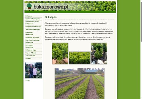 bukszpanowo.pl