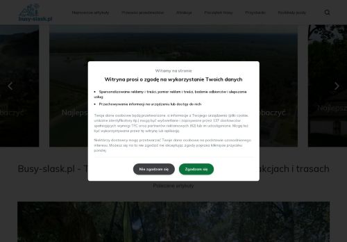 busy-slask.pl