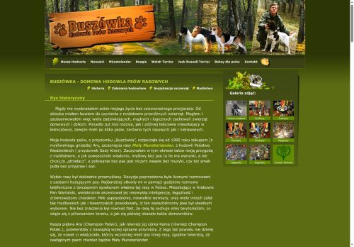 buszowka.pl