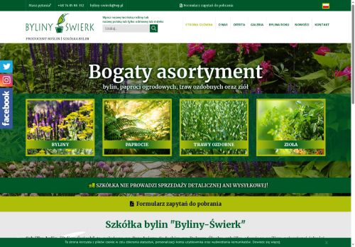 byliny-swierk.pl