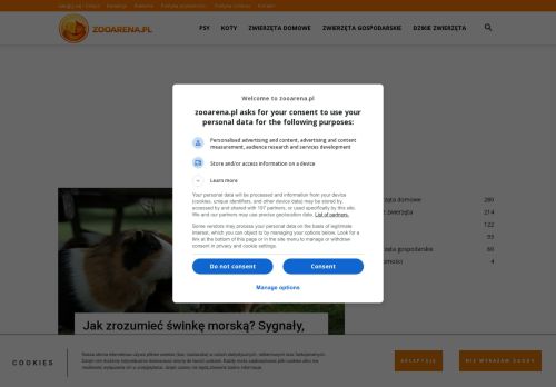cafeanimal.pl