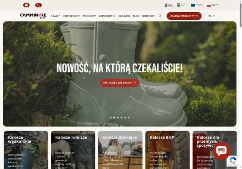 camminareboots.com