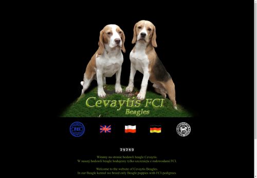 cevaytis.eu