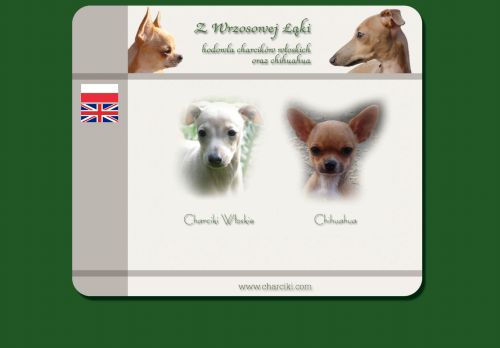 charciki.com