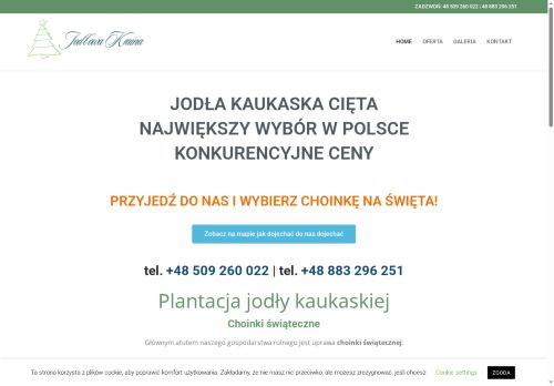 choinki-swiateczne.pl
