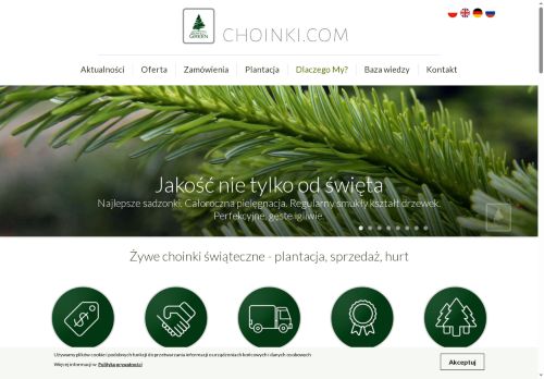 choinki.com